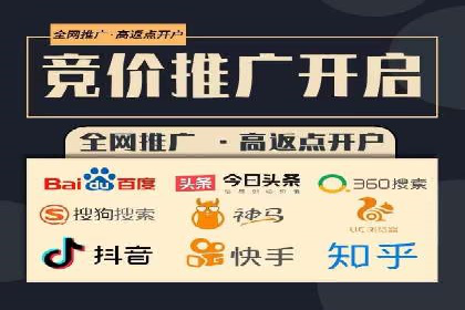 案例对比：SEO与SEM优化效果深度分析